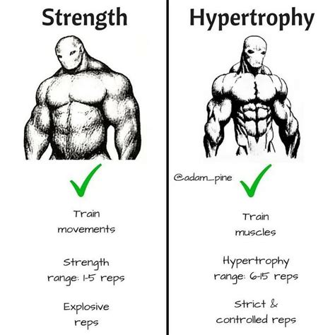 Here’s why Strength and Hypertrophy are two very Different Things | by ...