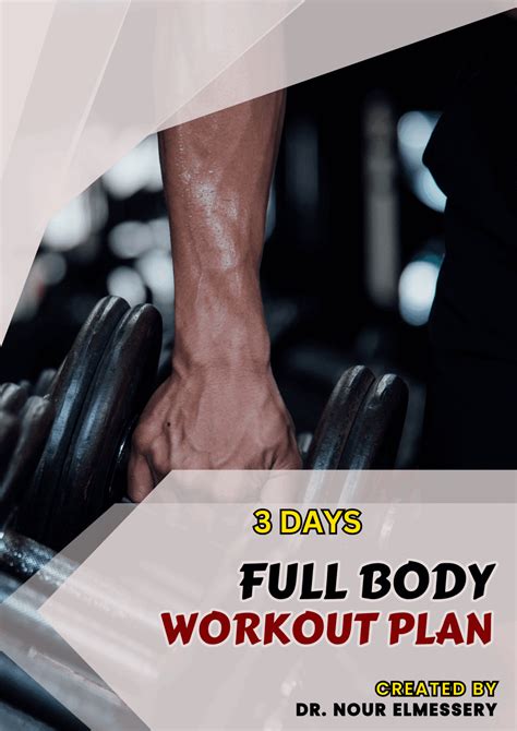 FULL BODY WORKOUT PLAN - aestheticbeats