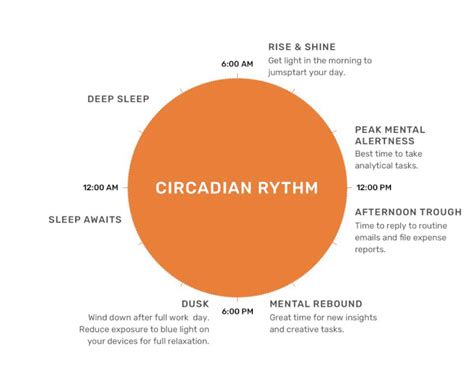 Circadian Optics — Features Of Bright Light Therapy Treatment For ...