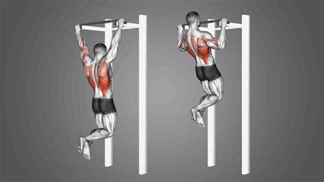 Beyond the typical bench press, what’s an often-overlooked upper body compound exercise that men can incorporate to significantly improve overall pushing strength and tricep development?