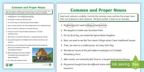 Common and Proper Nouns| Grade 1 | Twinkl (teacher made)