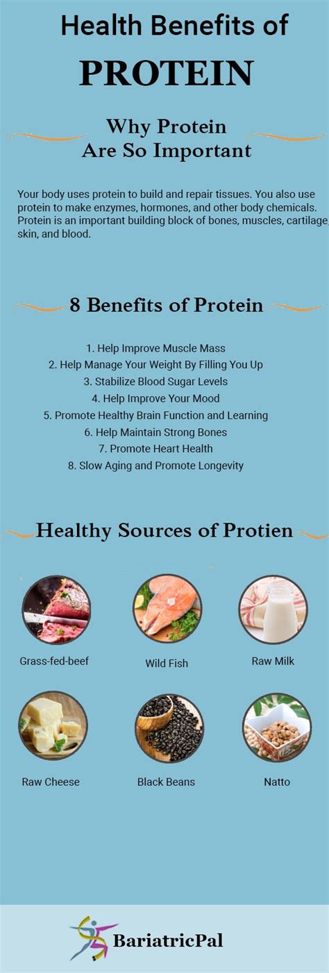 Health Benefits of Protein for our body: | Bariatric recipes, Healthy ...