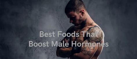 9 Best Foods Types That Boost Male Hormones | Stethostalk