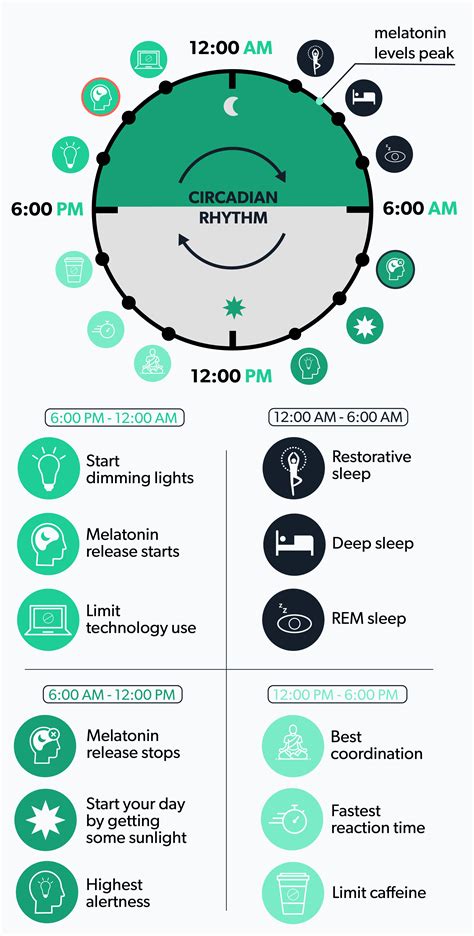 Stages of sleep – Artofit