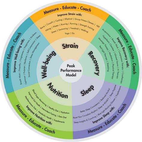 Achieving Peak Performance for Success - Goal Success