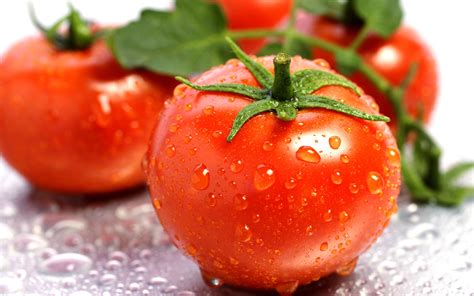 Fresh Tomato Delight - HD Wallpaper