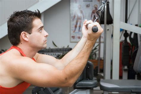 Man Lifting Weights stock image. Image of american, pull - 5125141