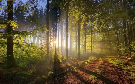 nature, Sunset, Landscape, Sunlight, Path, HDR, Natural Lighting ...