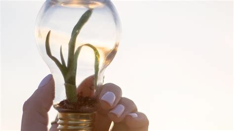 What Is Sustainable Energy: Definition, Types, and Uses