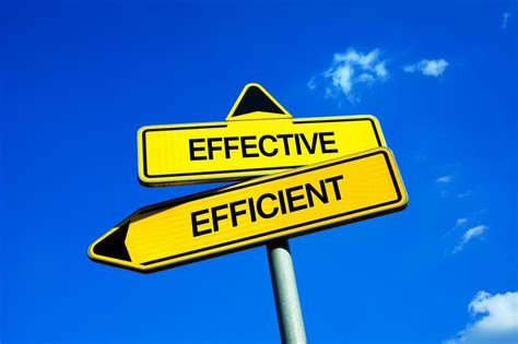 Effective vs. Efficient - End to End System Integrator Management ...