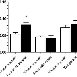 Muscle protein synthesis rates based upon muscle free... | Download ...