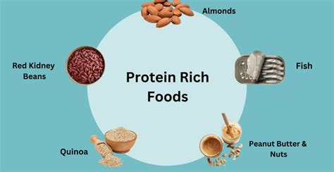 Protein Rich Foods - Top 20 Foods High in Protein | Livofy