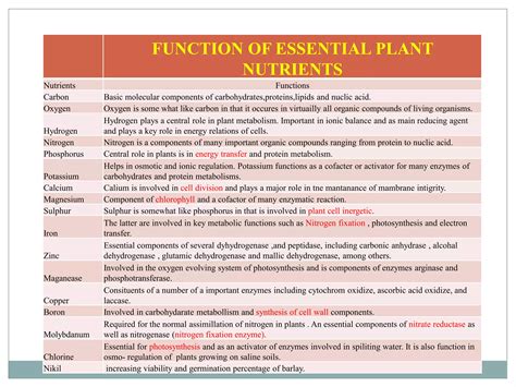 Essential plant nutrients,ppt | PPTX
