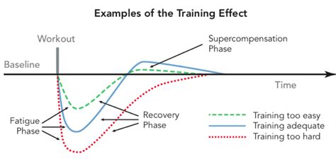 Maximize workout efficiency & recovery for peak male performance gains?