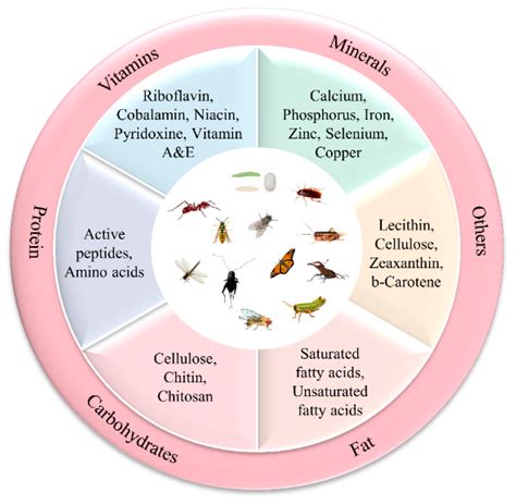 Nutritional Composition, Health Benefits, and Application Value of ...
