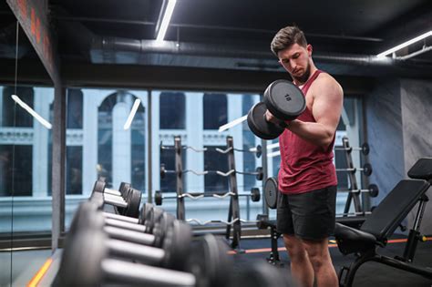 Healthy And Strong Man Lifting Weights With Dumbbells In Gym Stock Photo - Download Image Now ...