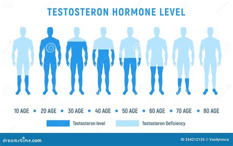 Testosterone Level Therapy Hormone Male Balance Science Fertility ...