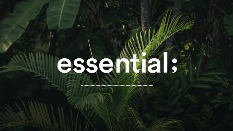 essential;은 누가 운영할까?