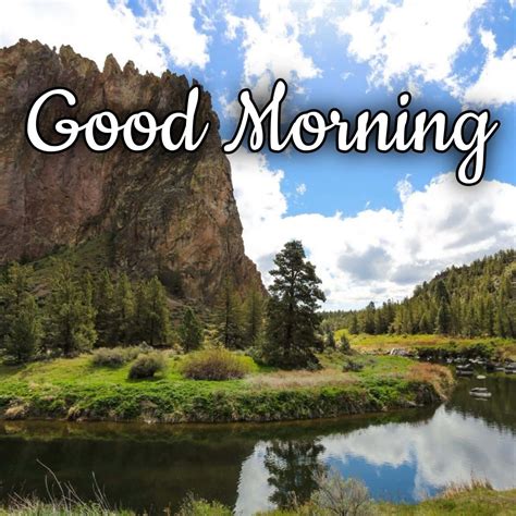Download Beautiful Good Morning Picture | Wallpapers.com