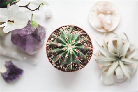 What is Holistic Counseling? Integrative Psychotherapy For The Mind ...