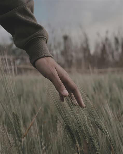 Gentle Pictures | Download Free Images on Unsplash