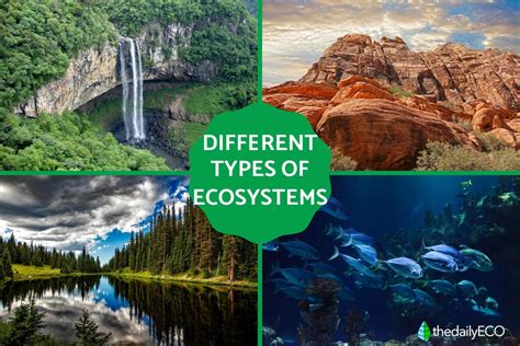 Different Types of Ecosystems - List With Examples and Photos