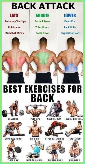 Fizzy juice “eats through” 37pounds | Back workout routine, Good back ...