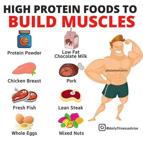 High Protein foods to build muscle | Food to gain muscle, Muscle ...