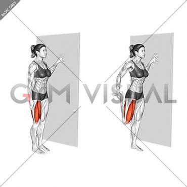 Standing Quadriceps Stretch
