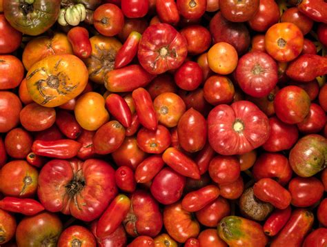 Fresh fruits and vegetables – Do looks matter? US consumers weigh in