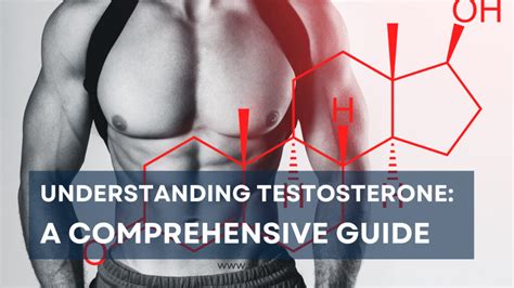Understanding Testosterone: A Comprehensive Guide - slviki.org