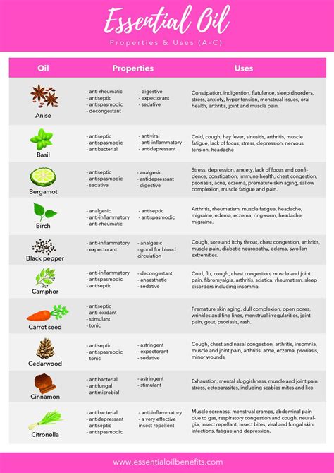 Essential gear to prevent common training injuries effectively?