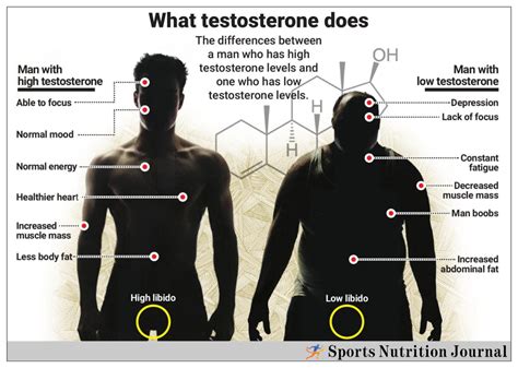 5 Best Testosterone Boosters of 2023: Enhance Muscle Growth and Boost ...