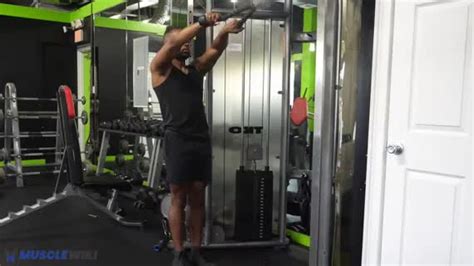 MuscleWiki - Simplify your workout
