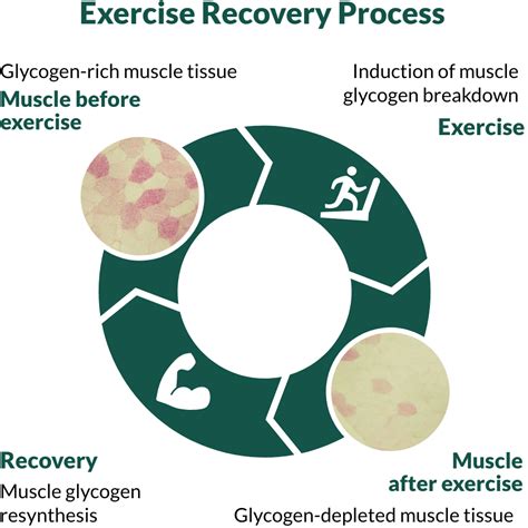 Recovera - Improves Muscle Recovery