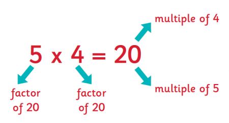 Multiples and factors explained for primary-school parents | Factors ...