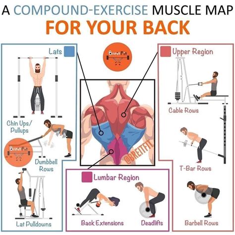 Fitness • Nutrition • Workout on Instagram: “🔸 A COMPOUND-EXERCISE ...