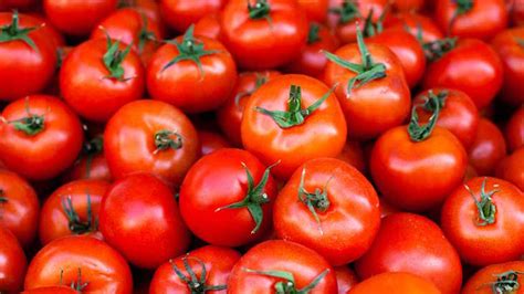 Tomato Images