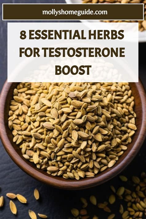 Optimize testosterone: Which foods boost men’s hormonal performance naturally?