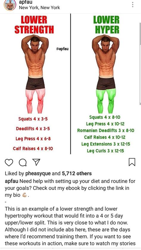 Push pull legs weight training workout schedule for 7 days – Artofit