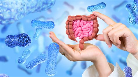gut microbiome