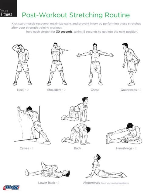 Stretching Routine for Post Workout Recovery