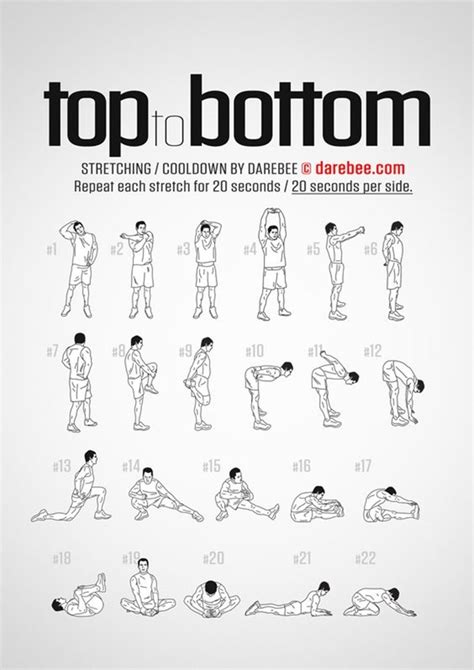 40 Charts of Post Workout Stretches to Prevent Injuries – Bored Art