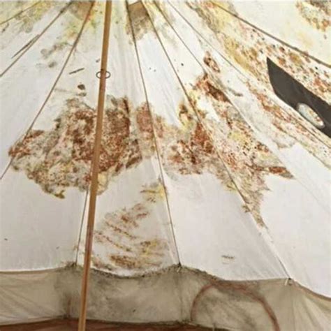 Is Your Tent Mold Resistant? AATCC 30 Test Explained - Life inTents