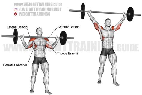 Standing wide-grip barbell overhead press exercise instructions and video
