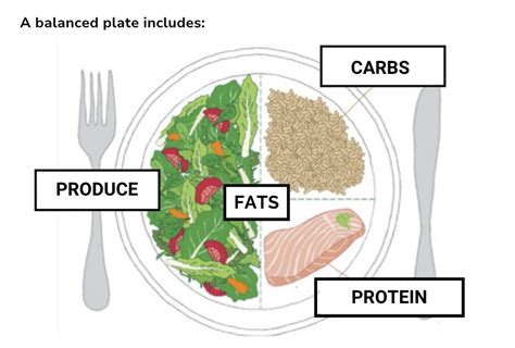 Balance Your Plate - Chelsey Amer