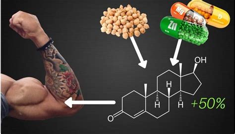 Does Taking Magnesium and Zinc Increase Testosterone Levels?