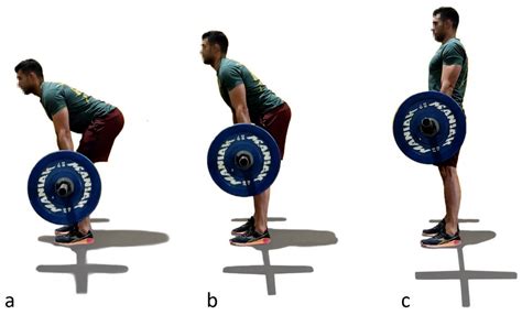 Sensors | Free Full-Text | Lower Back Injury Prevention and ...