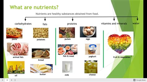 Resources4myclass: UNIT 1. NUTRITION I