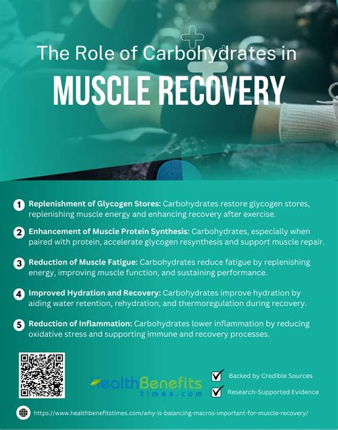 Why is balancing macros important for muscle recovery?Why is balancing ...